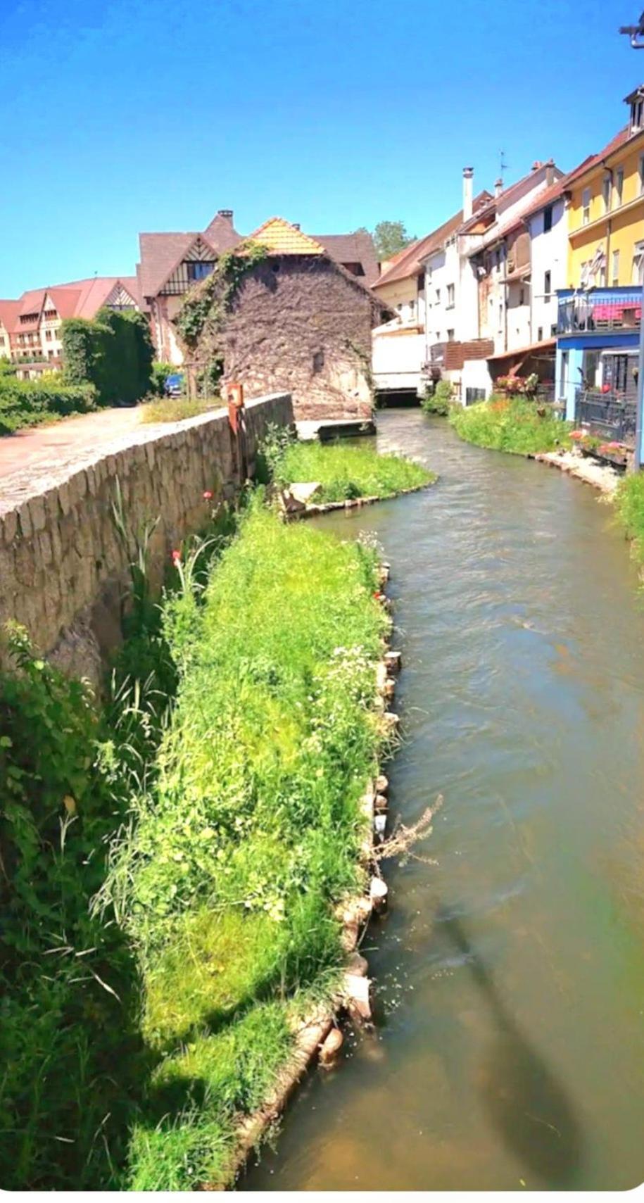 L'Atypique Des Remparts Villa Ensisheim Eksteriør bilde